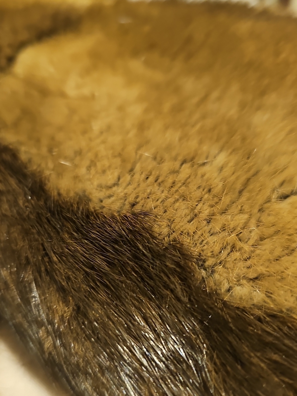 Women's Brown Fur Button-Front Coat - Picture 13 of 13
